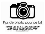 Photo 1/1 du lot