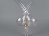 un vase en verre transparent contenant deux fleurs en verre