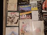 beaucoup de livres et de magazines par terre