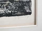 a picture of a black and white picture of a field