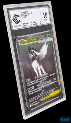 une image d'une carte Pokémon dans un étui en plastique transparent