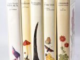 quatre livres alignés sur une surface blanche, sur fond blanc