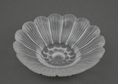 un bol en verre transparent contenant une fleur