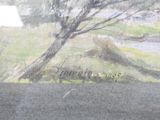 a picture of a painting of a bear in a field