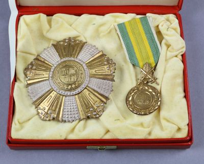 une médaille d'or et une médaille d'argent dans un coffret rouge