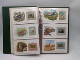 a book with pictures of animals and birds on it