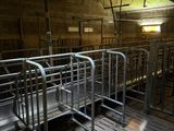 a room with a bunch of metal beds in it