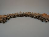 a large group of wooden sticks arranged in a circle