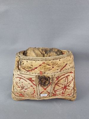 une image représentant un petit sac avec un chat à l'intérieur