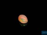 an oplite in the dark with a black background