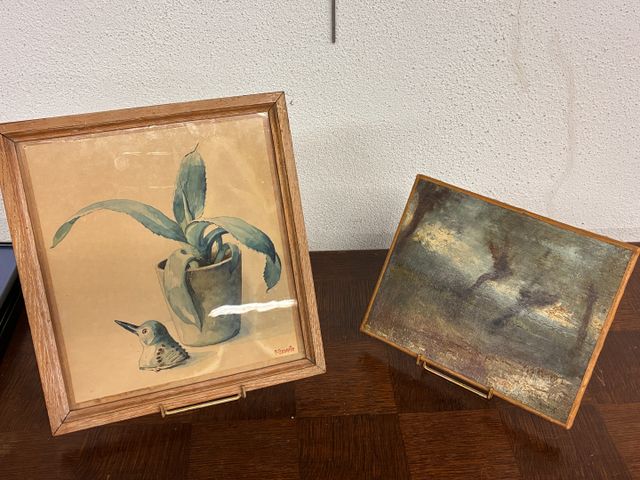 Aquarelle plante grasse et tête d’oiseau signe Genaille Alexandre...