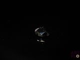 a broken apple sitting on a table in the dark