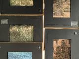 many pictures of trees on display on the wall