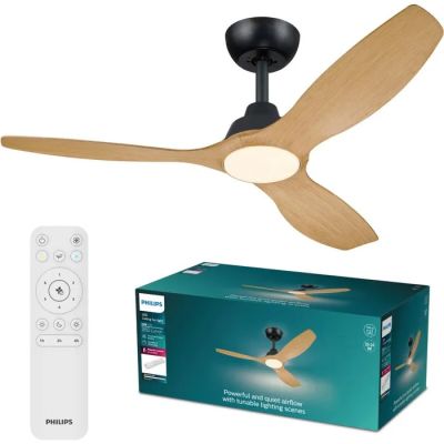 Le ventilateur de plafond se trouve à côté d'une télécommande et d'un boîtier