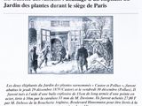Photo 4/4 du lot