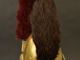 an image of a helmet with a fur on it