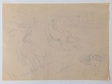drawing of a group of birds on a piece of paper on a table