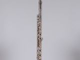 a silver flute on a clear stand against a white background