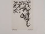un dessin en noir et blanc représentant une fleur sur laquelle est posé un papillon