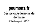 Photo 1/1 du lot