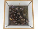 a picture of a picture of a group of flowers in a frame