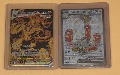 Deux cartes à collectionner Pokémon sont posées sur une surface jaune