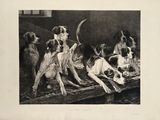 a lot of dogs that are playing with each other