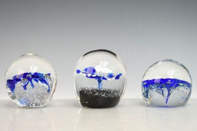 trois vases en verre contenant des fleurs bleues et blanches