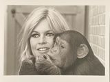 black and white photograph of a woman holding a chimpan in front of a brick wall