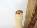 a piece of wood with a piece of wood sticking out of it