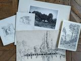 a bunch of drawings are laying on top of a wooden floor