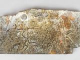 un morceau de roche présentant des gravures sur une surface blanche