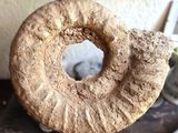 un beignet posé sur un présentoir