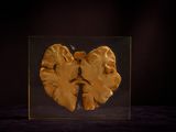 an image of a human brain in a glass box on a table