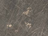 a close up of a metal plate with a dog paw print on it