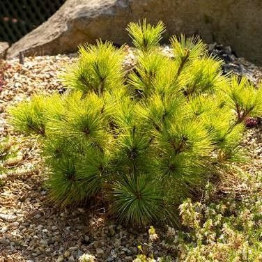 Destockage & Invendus