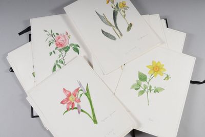 six cartes ornées de fleurs à l'aquarelle, empilées les unes sur les autres