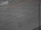 Photo 14/18 du lot