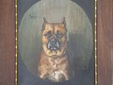 tableau représentant un chien brun assis dans un cadre en bois sur fond noir