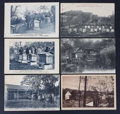 plusieurs vieilles photos en noir et blanc représentant des ruches devant une maison
