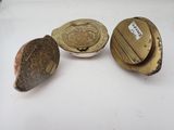 trois objets en laiton ancien sont posés sur une surface blanche