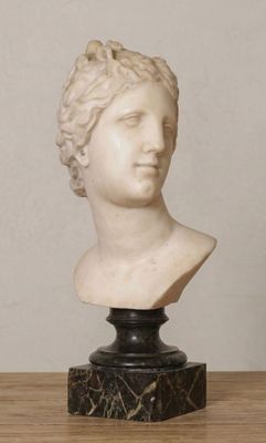 marble bust of a woman with curly hair on a marble base