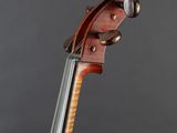 a close up of the back of a violin