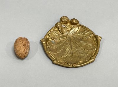 a gold coin and a walnut on a white surface