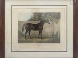 painting of a horse standing in a field with a fence in the background