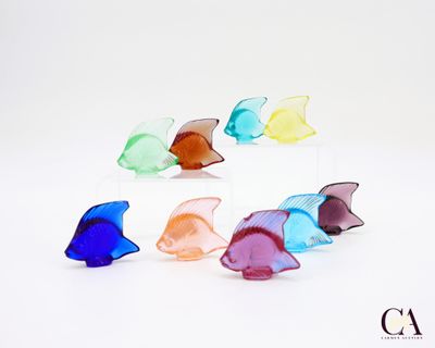 de nombreux poissons de différentes couleurs disposés en cercle sur un fond blanc
