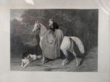 a picture of a woman riding a horse with a dog