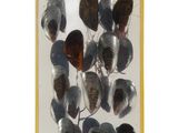 a picture of a picture of a picture of a bunch of butterflies