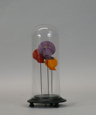 a glass clochet with a flower inside of it