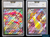 Deux cartes Pokémon se trouvent dans un étui en plastique sur un fond noir